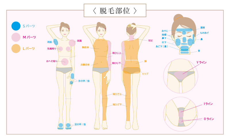 熊本、阿蘇、大津のエステサロンプリマの部位別脱毛料金表