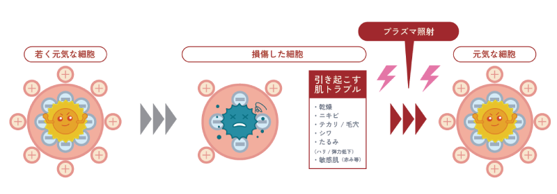美容プラズマの効果2.電位バランスを整え、細胞を正常化
