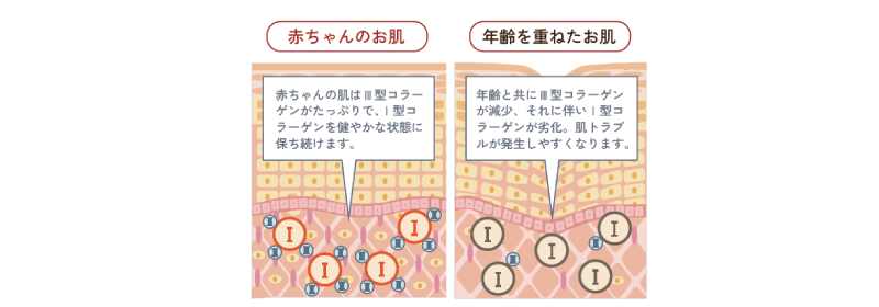 美容プラズマの効果3.ベビーコラーゲン生成を促進